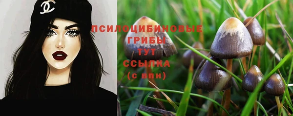 бутират Алзамай