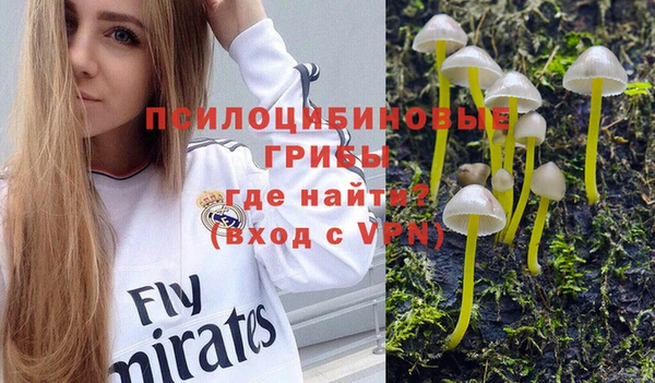 первитин Алексеевка