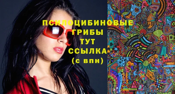 прущий лед Алексин